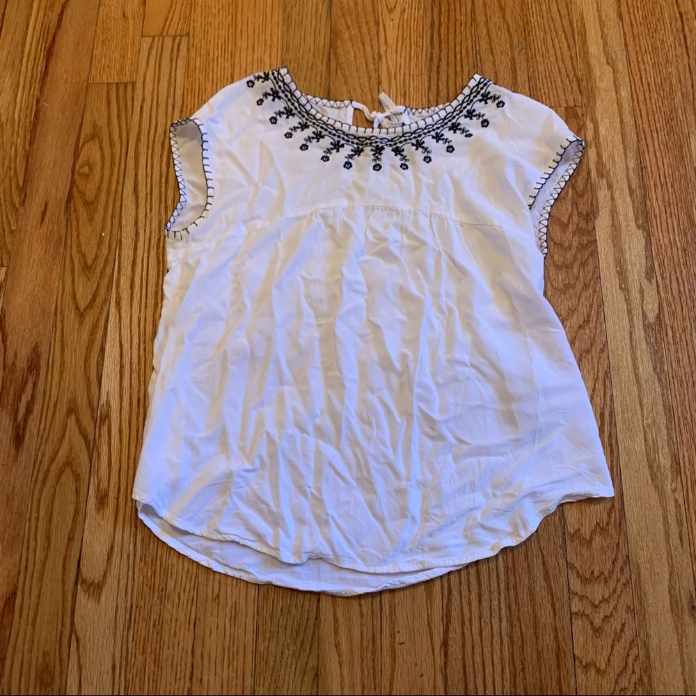 Blue Embroidered Blouse